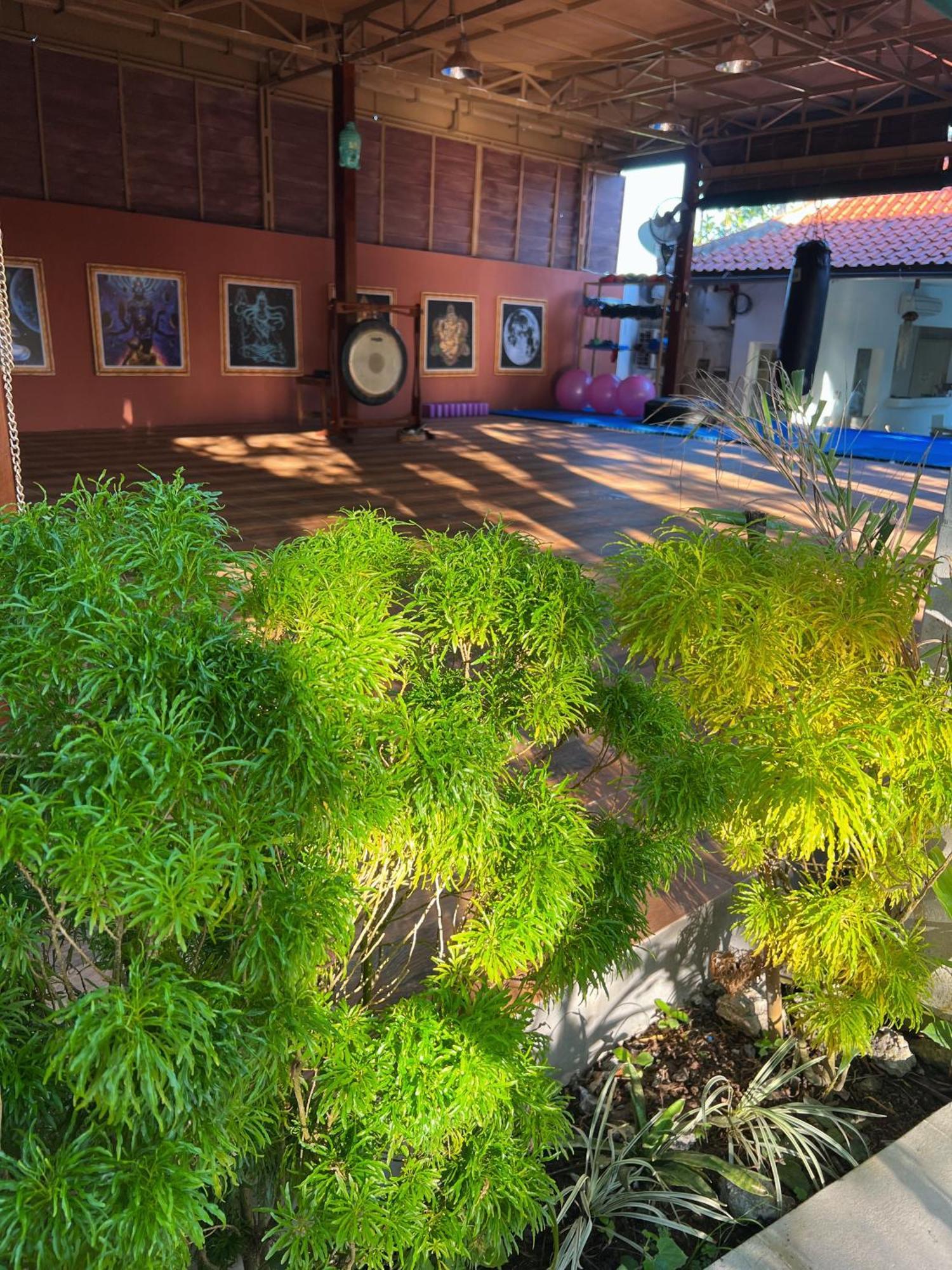 Villa Neshama Canggu Dış mekan fotoğraf