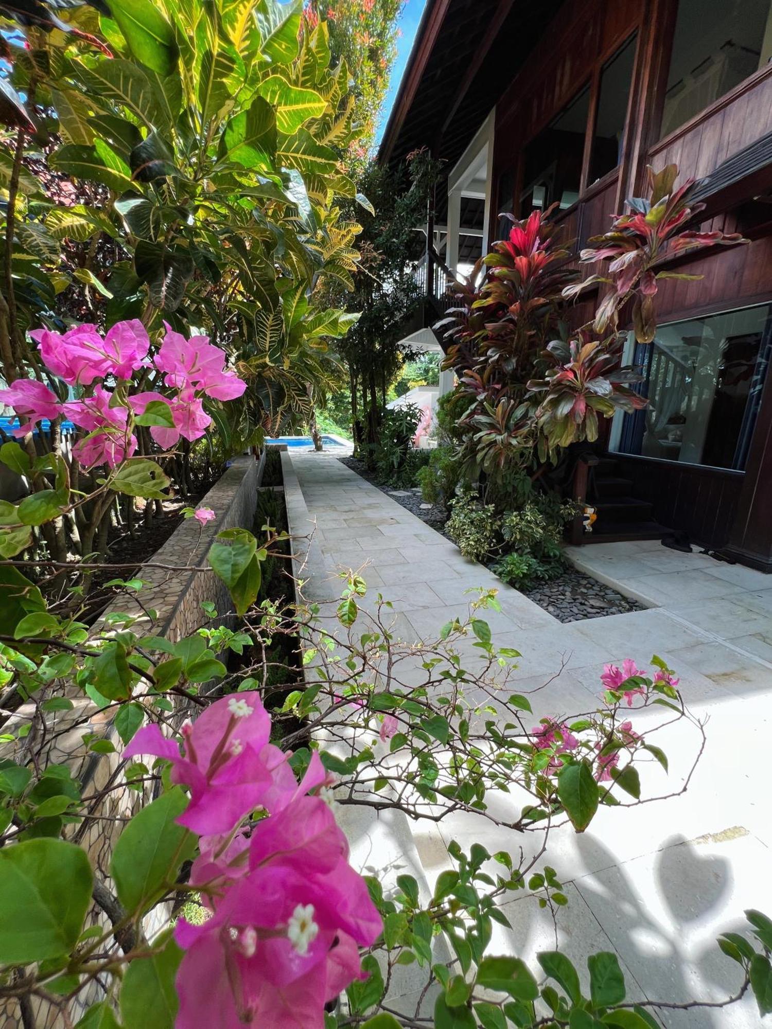 Villa Neshama Canggu Dış mekan fotoğraf