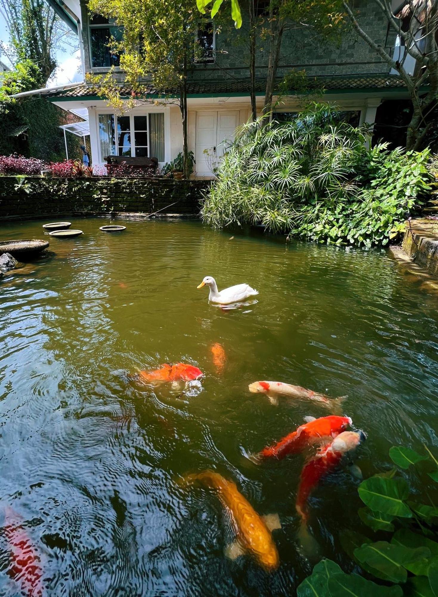 Villa Neshama Canggu Dış mekan fotoğraf